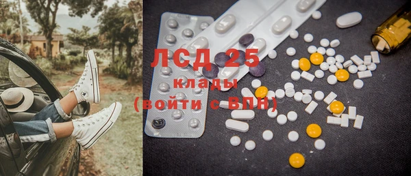 ГАЛЛЮЦИНОГЕННЫЕ ГРИБЫ Вязники