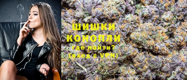 стафф Вязьма