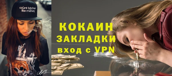 стафф Вязьма