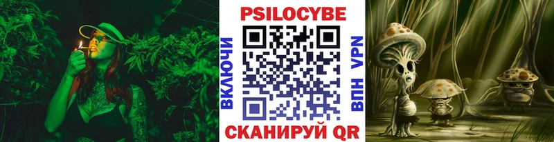 Псилоцибиновые грибы Psilocybine cubensis  Калтан 